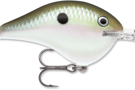 Rapala DT-10 Green Gizzard Shad