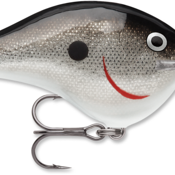Rapala DT-14 Silver