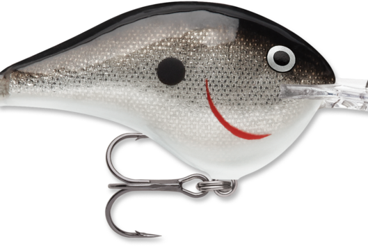 Rapala DT-10 Silver