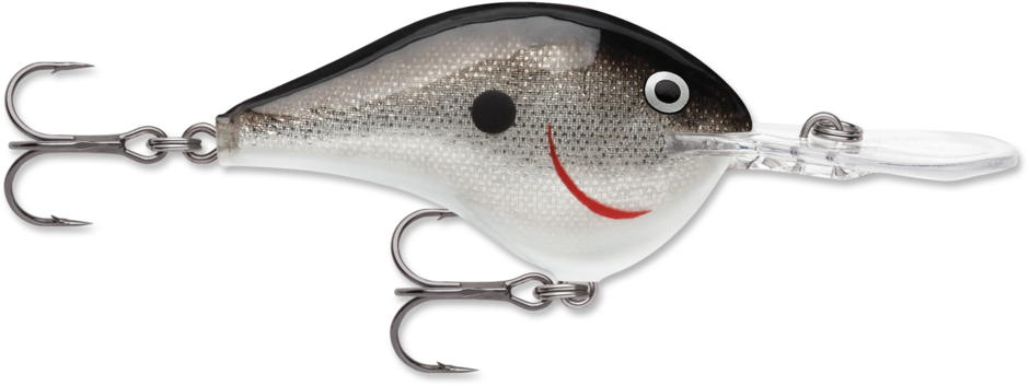 Rapala DT-10 Silver