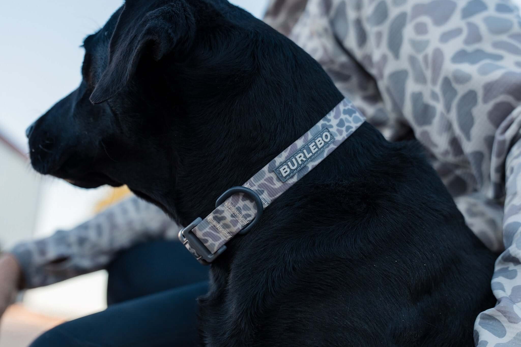 Burlebo Dog Collar