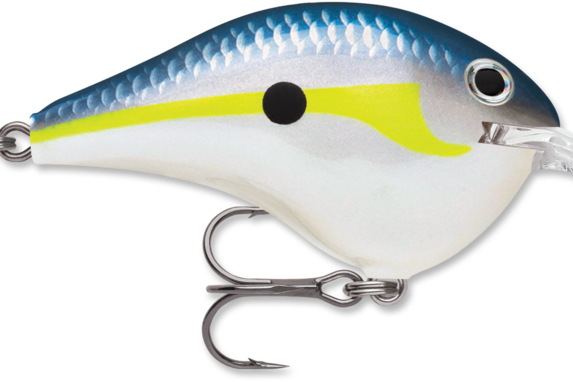Rapala DT-4 Helsinki Shad