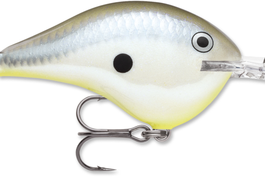 Rapala DT-16 Disco Shad
