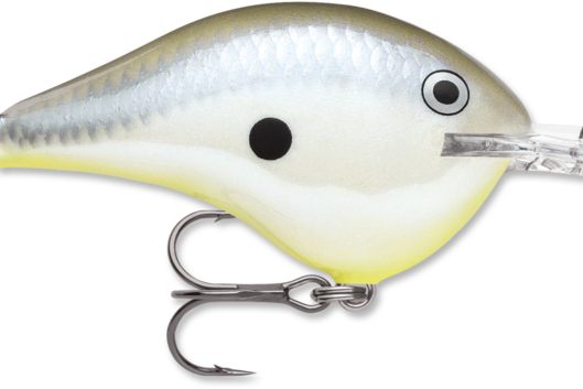 Rapala DT-10 Disco Shad