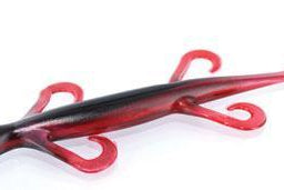 Zoom 8" Magnum Lizard