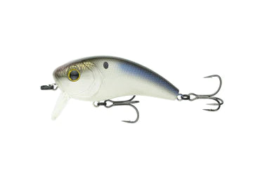 6th Sense Movement 80 Wake 4K Shad