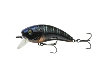 6th Sense Movement 80x Cypress Gill