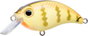 Bill Lewis ATV 1.5 Squarebill Crankbait School Bus