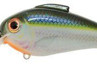 Bill Lewis Echo 1.75 Squarebill Crankbait Blue Shiner