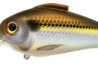 Bill Lewis Echo 1.75 Squarebill Crankbait