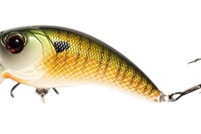 6th Sense Movement 80 Wake