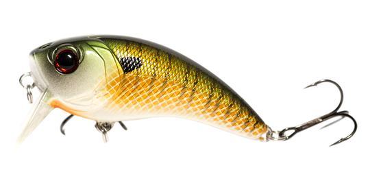 6th Sense Movement 80 Wake