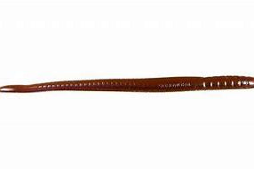 Roboworm Straight Tail 7" Oxblood Light Red Flake(D)