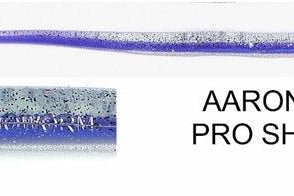 Roboworm Straight Tail 4.5" Aaron's Pro Shad