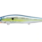 Megabass Vision 110 + 1 GP Sexy Shad