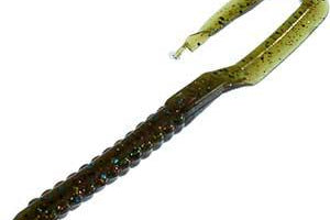 Zoom U-Tale Tilapia Magic 411**