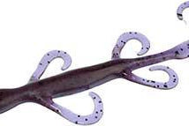 Zoom 8" Magnum Lizard Purple Pumpkin 432**