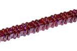 Zoom Centipede 4" 20pk Cranberry 431