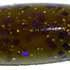 Zoom Z Drop Worm 15pk Green Pumpkin Purple Gold