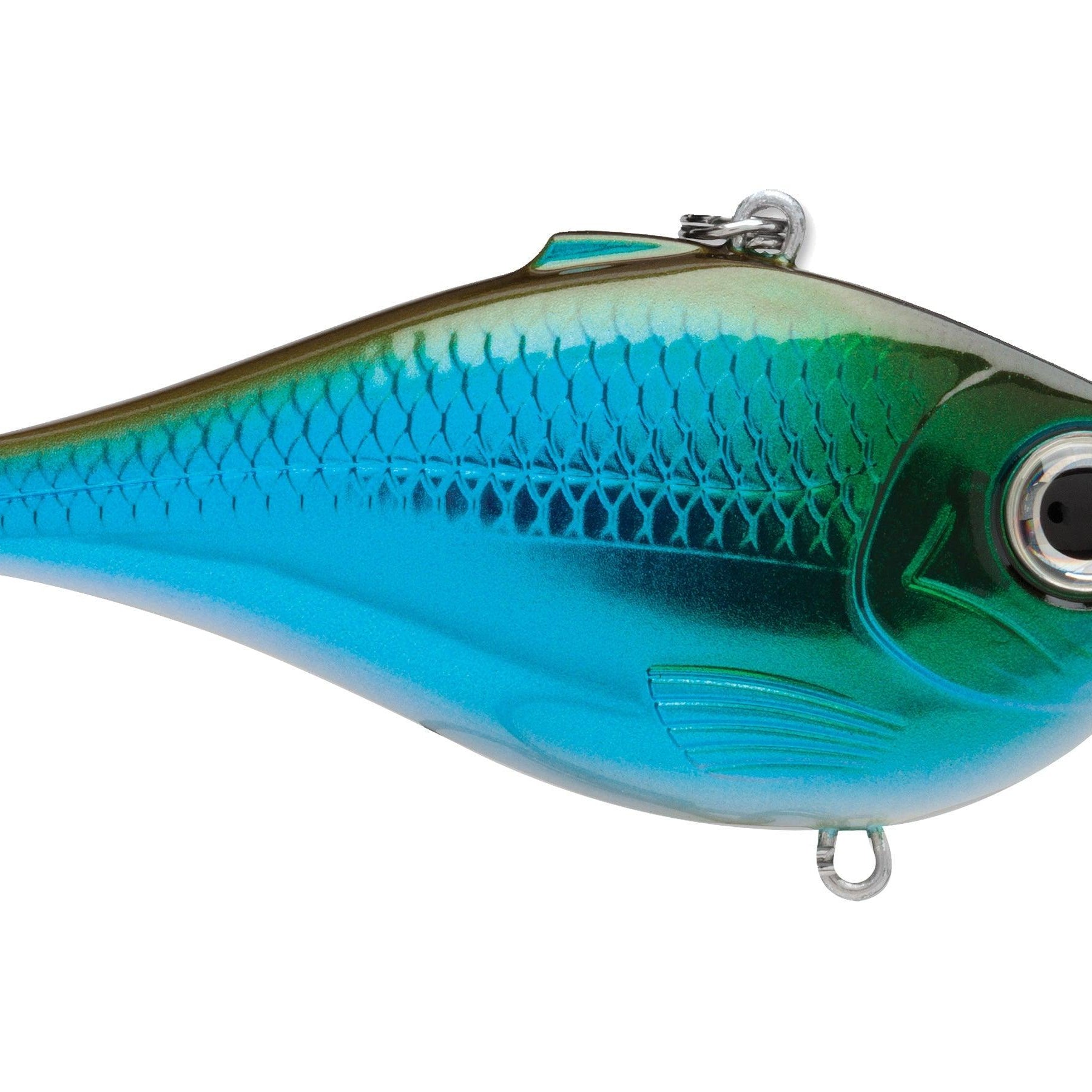 Rapala Rippin' Rap Chrome Mossback Shiner