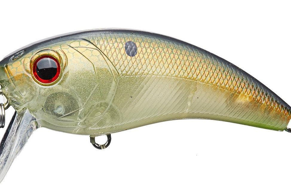 6th Sense Movement 80 Wake