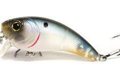 6th Sense Movement 80 Wake