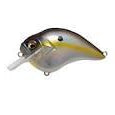Megabass S-Crank Megabass Sexy Shad*