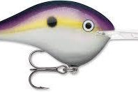 Rapala DT-20 Big Shad
