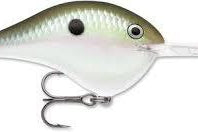 Rapala DT-20 Green Gizzard Shad