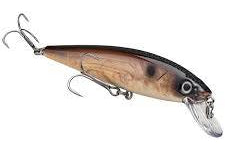 Strike King KVD Jerkbait 200