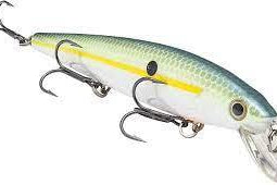 Strike King KVD Jerkbait 200