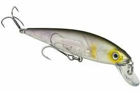 Strike King KVD Jerkbait 200 Clearwater Minnow