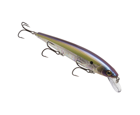 Strike King KVD Elite Jerkbait 300 TN Shad 2.0