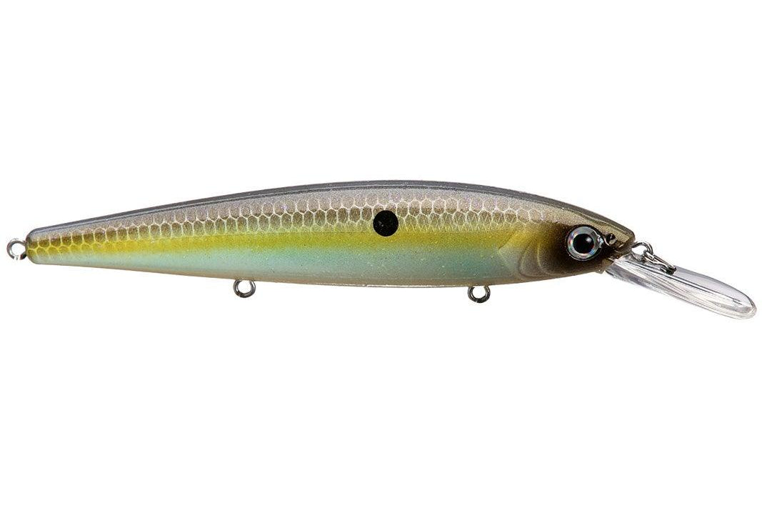 Strike King KVD 300 Deep Jerkbait