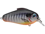 Bill Lewis Echo 1.75 Squarebill Crankbait Blueberry Perch (D)
