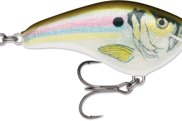 Rapala Ott’s Garage Slim 06 Crankbait Live River Shad (D)