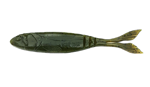 Beast Coast Bladerunner Dark Green Pumpkin