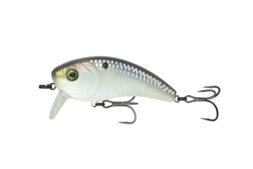 6th Sense Movement 80 Wake