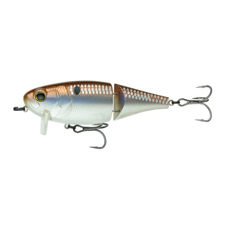 6th Sense Speed Wake 100