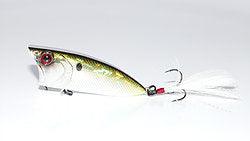 6th Sense Splashback 70