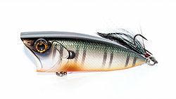 6th Sense Splashback 70