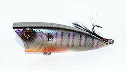 6th Sense Splashback 70