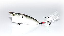 6th Sense Splashback 70