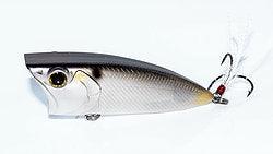 6th Sense Splashback 70