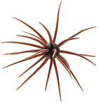 Hideup Coike Creature Bait 17mm Green Pumpkin