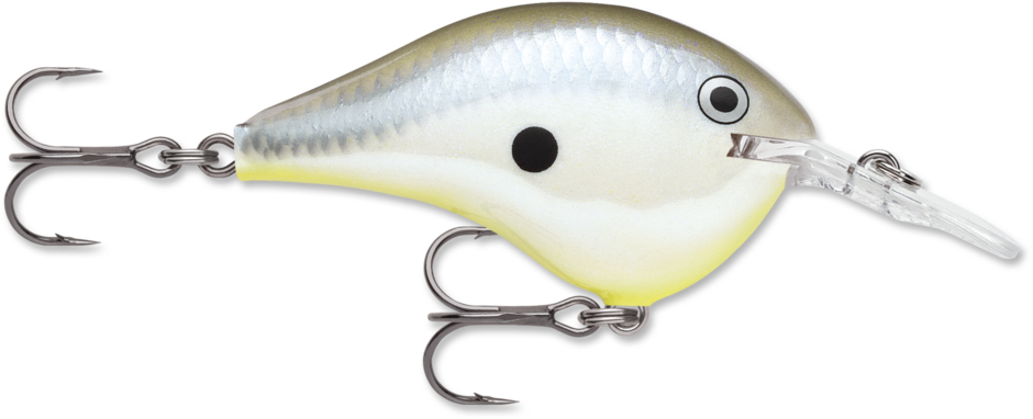 Rapala DT-4 Disco Shad (D)