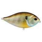 Berkley Slap Gill Topwater Walking Bait Female Gill