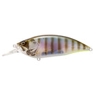 Megabass Big M 4.0 Crankbaits Gillkko