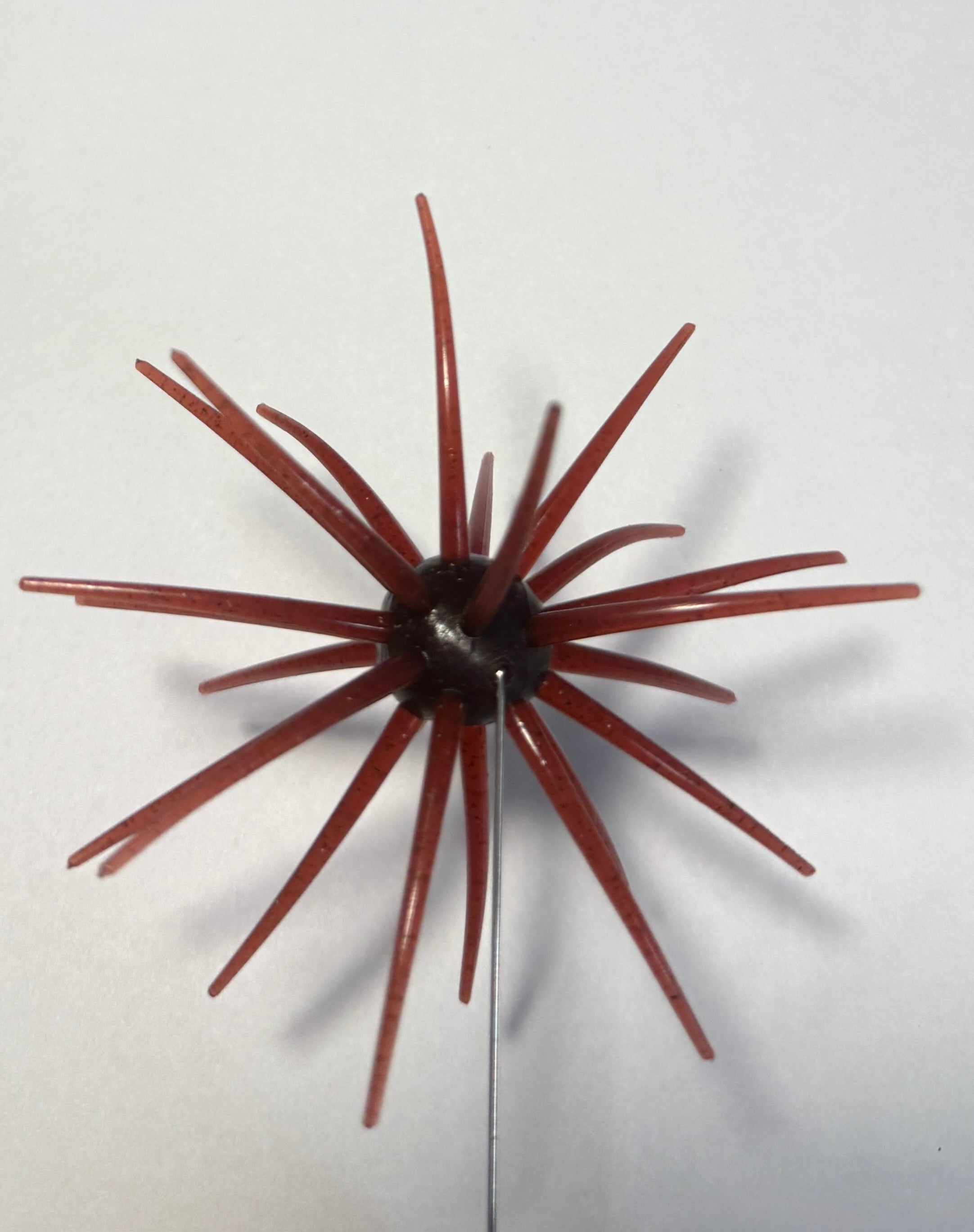 Hag’s Prickly Pear Red Dirt Renegade (Red Bug)