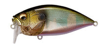Megabass O.R.C. Wagin Oikawa
